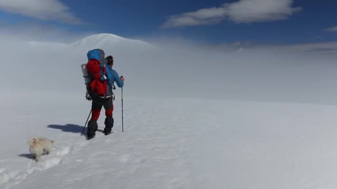 登山队员与两只滑稽的狗一起爬雪山