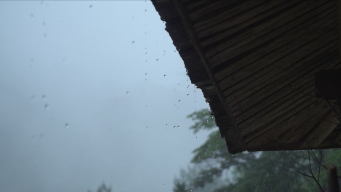 南方山林中的暴雨