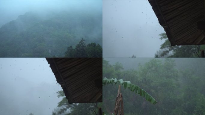 南方山林中的暴雨