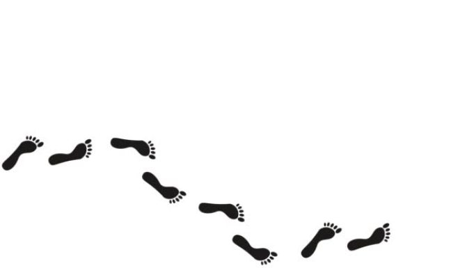 人类足迹动画。从右到左在地板上留下潮湿，干燥的裸露脚印。步行循环动画，图形运动。白色背景上的录像。4