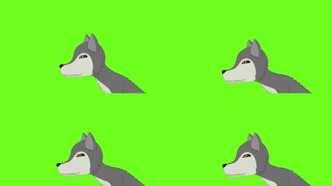 绿色背景上孤立的邪恶狼的3D动画，高清复制空间