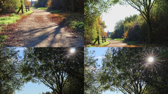 乡村森林场景与田园诗般的徒步旅行路径秋天野生动物保护区的健康自然印象与色彩鲜艳的树叶浪漫的心情作为健
