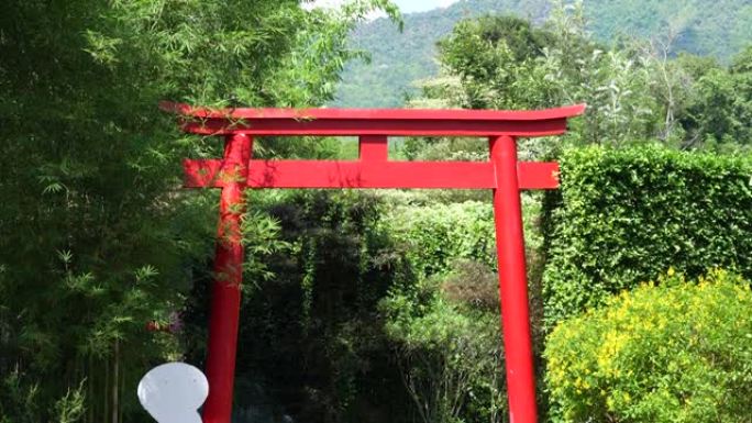 单一的日本精神，传统的红杆与竹树和另一棵树在中午的时间在花园里。