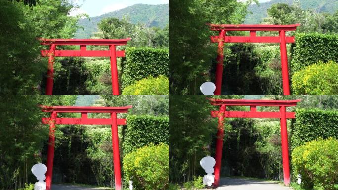 单一的日本精神，传统的红杆与竹树和另一棵树在中午的时间在花园里。