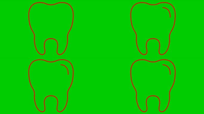 动画牙齿符号是逐渐绘制的。透明牙齿的线性红色图标。牙科概念。循环视频。矢量插图孤立在绿色背景上。