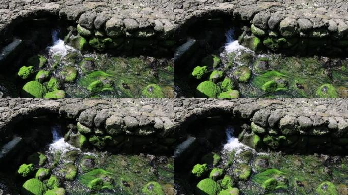 济州岛地下水的另一个名称是龙井。