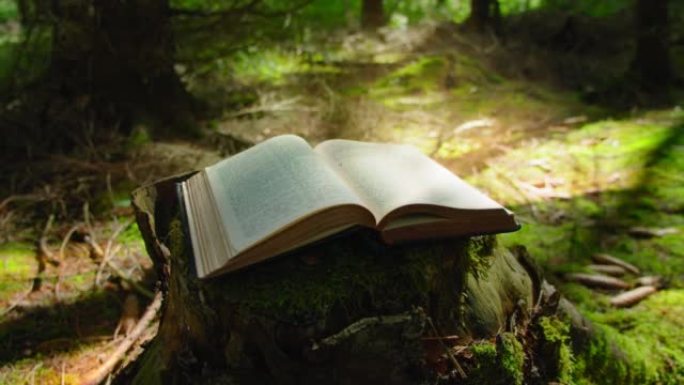 神圣的光落在神圣的圣经上。风吹翻了床单。翻页书。学问、智慧和魔法。发光。自然森林背景。