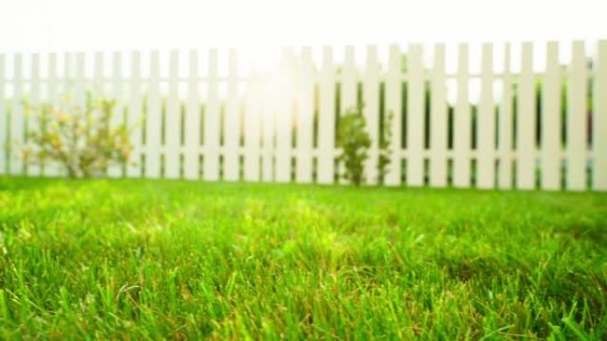 在夏季阳光明媚的花园中，平滑的相机运动，绿色多汁的修剪草坪和背景中的白色木栅栏。修剪整齐的家庭花园，