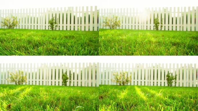 在夏季阳光明媚的花园中，平滑的相机运动，绿色多汁的修剪草坪和背景中的白色木栅栏。修剪整齐的家庭花园，
