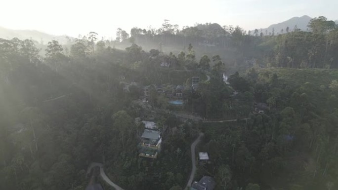 斯里兰卡无人机景观黎明时的丛林小屋