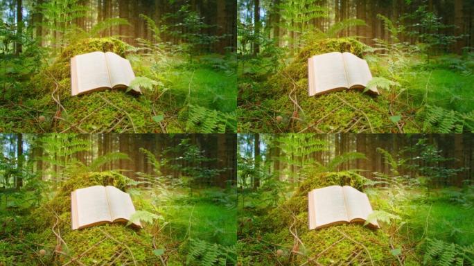 神圣的圣经。打开书。学习,智慧。福音。发光。松林地面长满了绿色的苔藓。自然背景。天光照在纸上的文字上