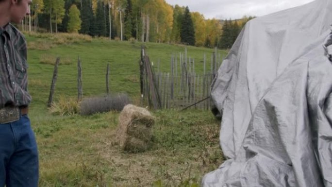 十几岁的牧场主在美国科罗拉多州的一个小镇家族牧场上，从干草堆的顶部放下一捆干草来喂养他的羊群