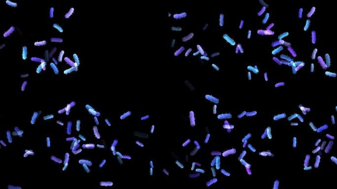 冠状病毒2019-nCov流感毒株和大流行。微生物和微生物