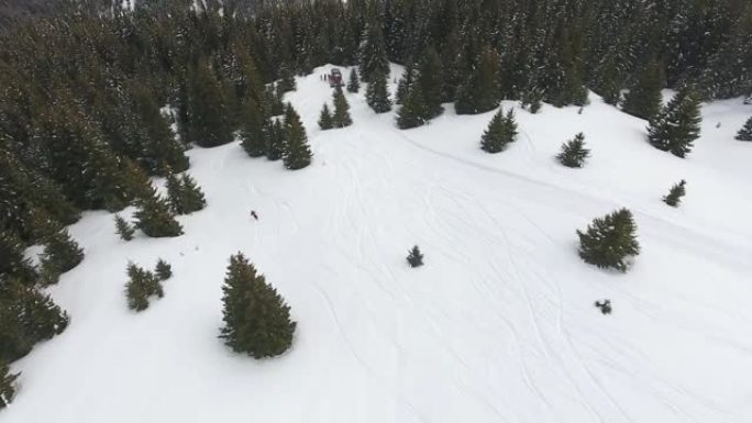 自由滑雪者在滑雪道坡上的新鲜粉末雪上的松树上滑雪的鸟瞰图。极端肾上腺素冬季运动