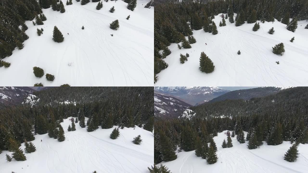 自由滑雪者在滑雪道坡上的新鲜粉末雪上的松树上滑雪的鸟瞰图。极端肾上腺素冬季运动