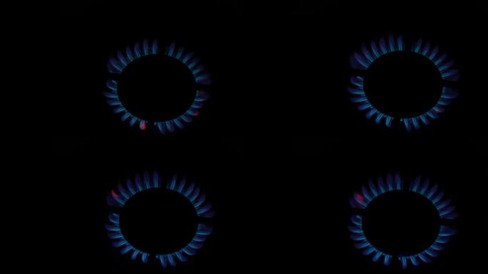 厨房炉灶上的煤气炉亮了。在黑色背景的黑暗中燃烧着蓝色的火焰。天然气发炎。天然能源载体，化石燃料