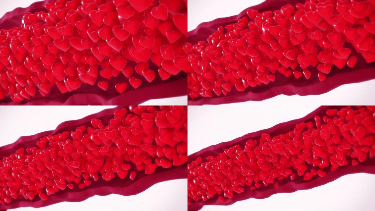红细胞中的心脏血管红色爱心流动