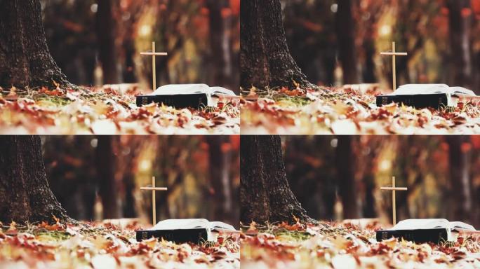 秋天的森林落叶耶稣基督的十字架和圣经