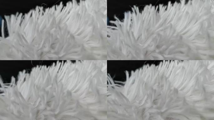 白色羽毛视频拍摄从5厘米远离快速移动