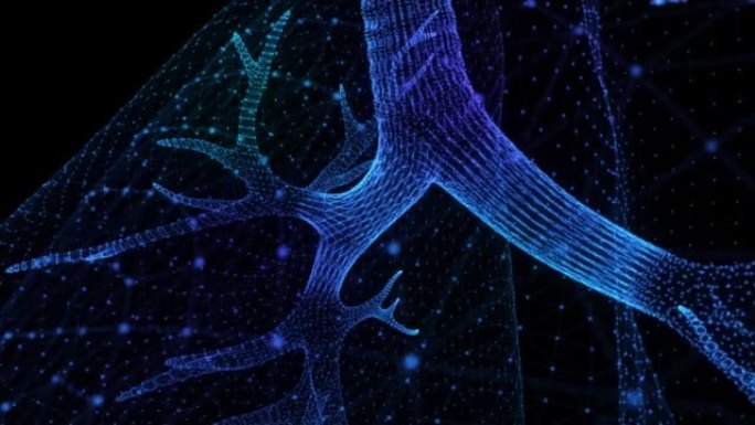 旋转人的肺。人肺模型的发光蓝光粒子点。3d虚拟空间中的无缝循环运动动画神经元