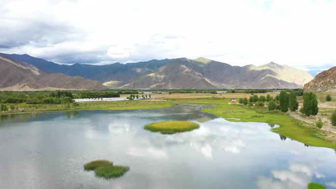 湖中野草 湖中长草 风吹湖面优质生态环境