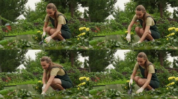 一位女园丁用手工工具耕种土壤，种植草莓。