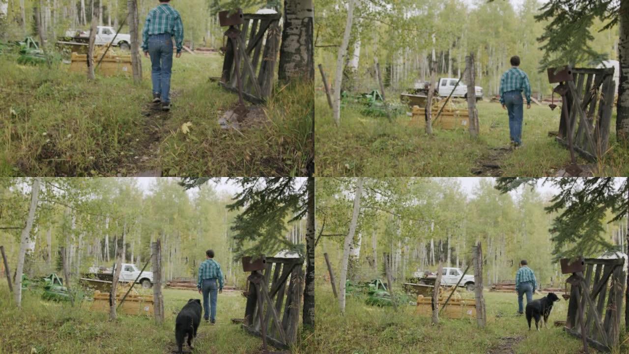 十几岁的农夫男孩在美国科罗拉多州的一个小镇家庭牧场上，穿过一条小溪开始了一天的合唱，他可爱的伴侣宠物