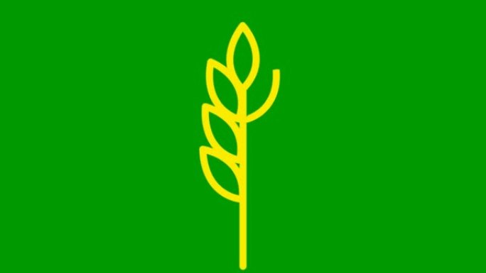 麦穗的动画黄色符号。收获、食物、面包的概念。线性图标。矢量插图孤立在绿色背景上。