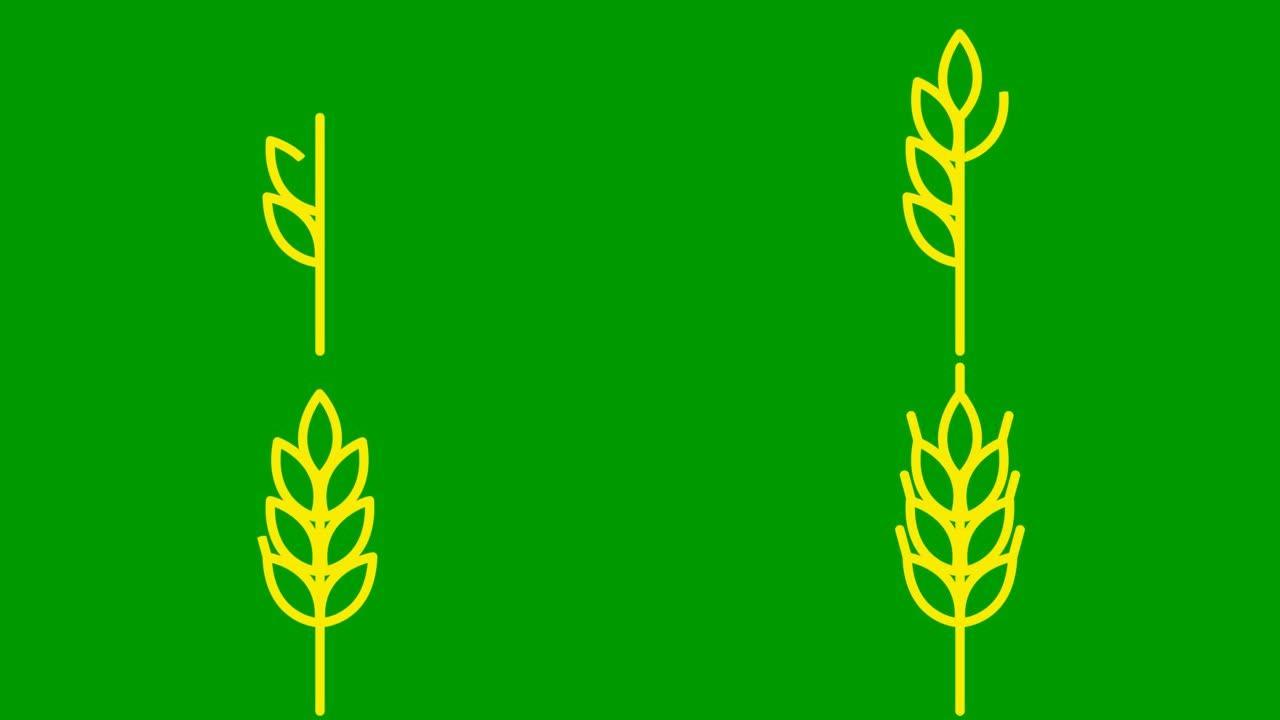 麦穗的动画黄色符号。收获、食物、面包的概念。线性图标。矢量插图孤立在绿色背景上。