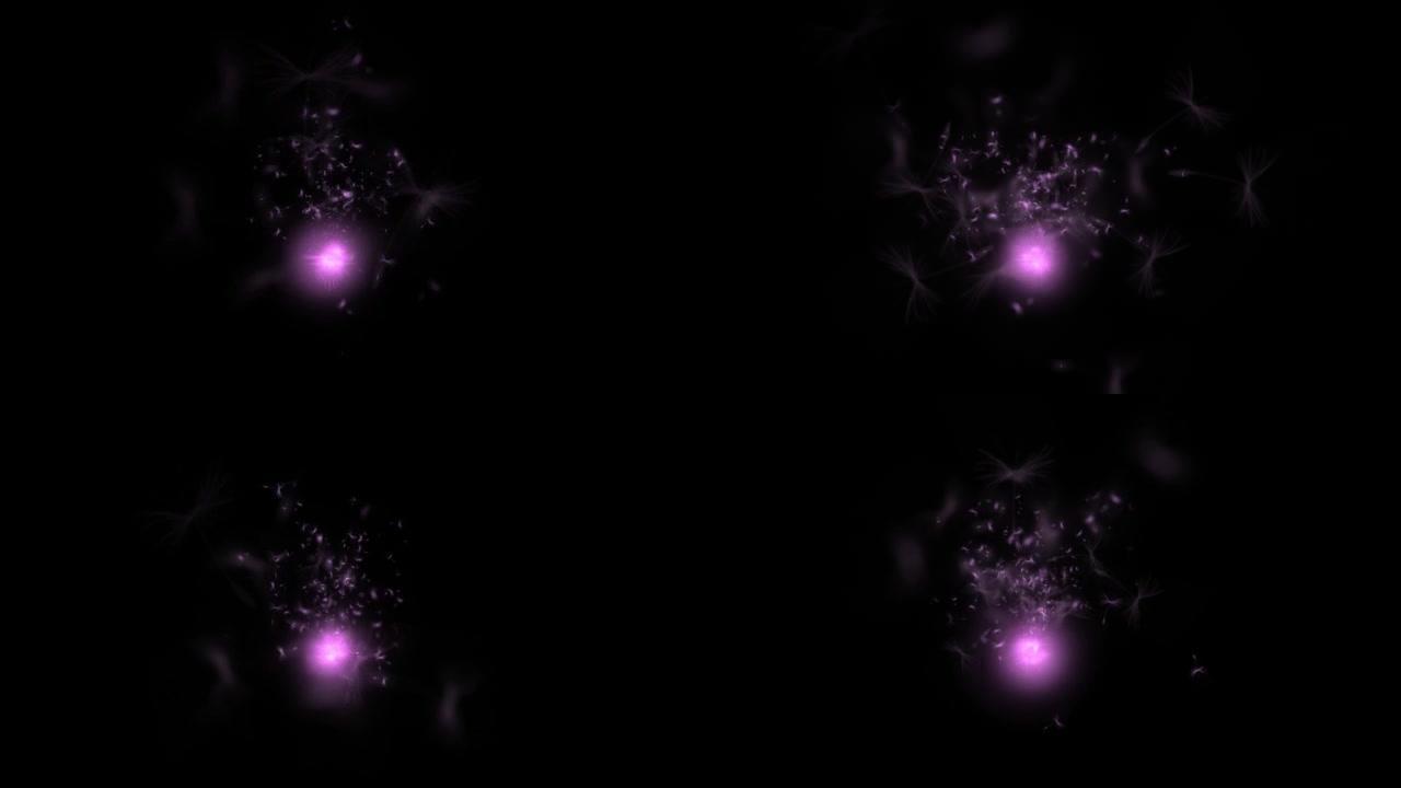 黑暗背景上的蒲公英粉扑颗粒闪烁紫色光的4K 3D动画