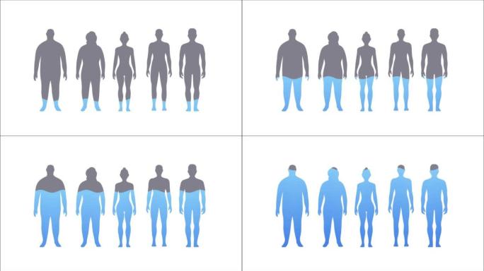 人体动画中的水率。充满水的男女剪影。医疗保健概念。4K