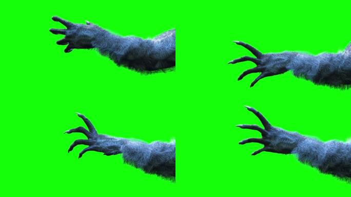 可怕的怪物手，毛茸茸的狼人爪子万圣节背景在绿色背景上渲染3d