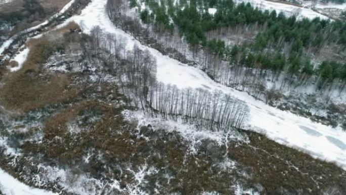 冬季风景鸟瞰乡村道路树木