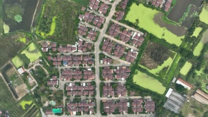 泰国佛统府一个住宅小区的鸟瞰图。