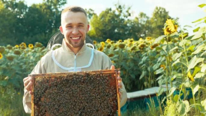 快乐快乐的养蜂人，穿着养蜂人服的男人，拿着装满蜜蜂和蜂蜜的蜂巢，站在充满向日葵的田野里，在镜头前展示