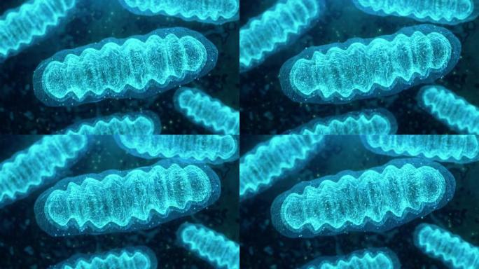 线粒体DNA分子未来线粒体医疗美容