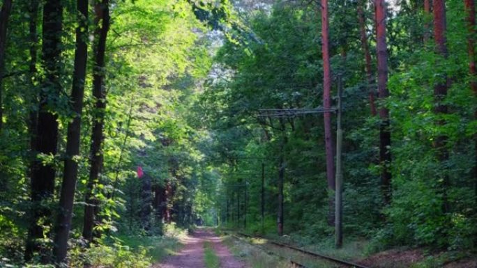 铁路轨道视图。被森林包围的铁路路轨和路堤。铁路