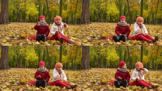 可爱的学龄前未成年人兄弟姐妹女孩和男孩在篮子里的红色格子黄色落叶上微笑吃红苹果看秋天公园的相机寒冷天