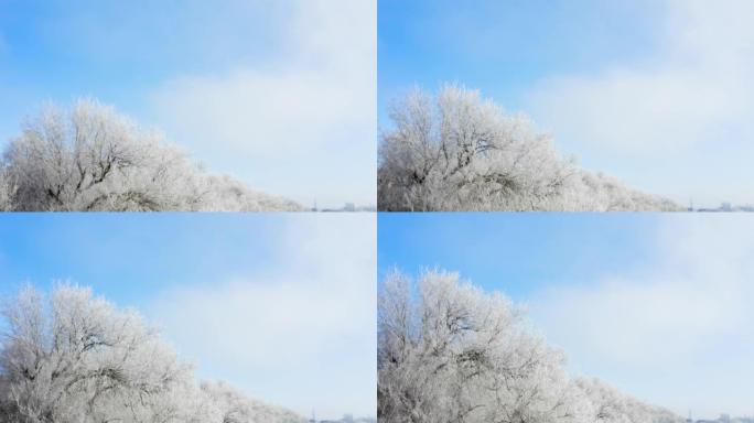 宽阔的蓝色早晨天空，远处站着冰冻的树木和小镇
