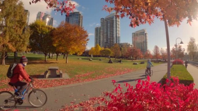 加拿大不列颠哥伦比亚省温哥华- 2022年11月5日。秋季耶鲁城公园阳光4K UHD