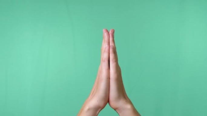 两只手在空的孤立绿色色度关键背景上的祈祷手势。缩放