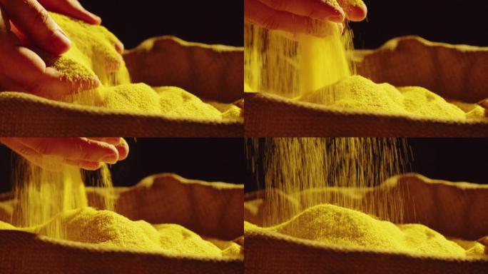 玉米粉质地特写，玉米面在黑色背景上。收获季节。金玉米粉。美食视频概念。健康饮食，素食。