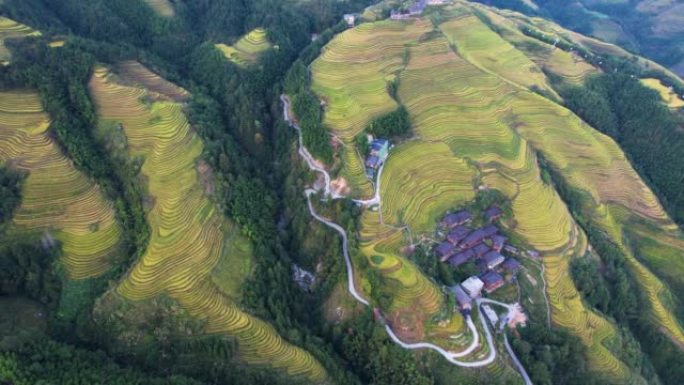 桂林龙脊镇梯田的空中平移视图