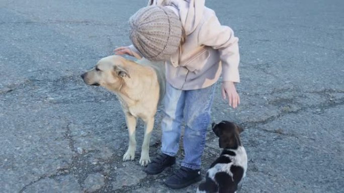 一个小女孩宠物流浪狗。培养孩子对动物的爱