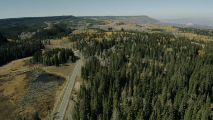 科罗拉多州西部阳光明媚的10月日，大梅萨国家森林秋季风景的鲜艳色彩和森林砍伐的空中公路景观视频系列