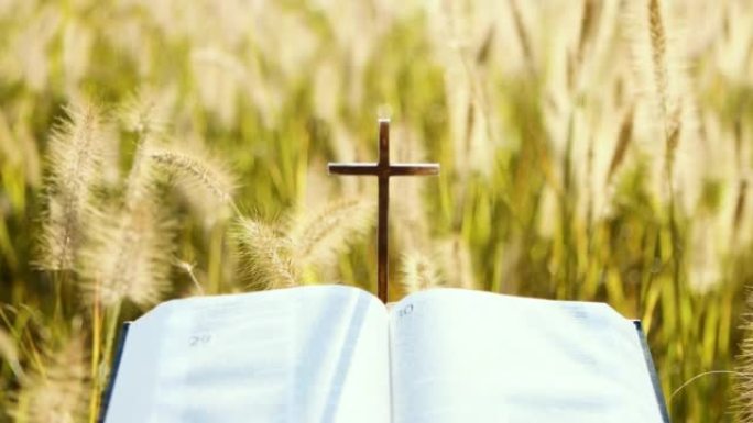 圣经，耶稣基督的十字架，秋风，芦苇和大麦田