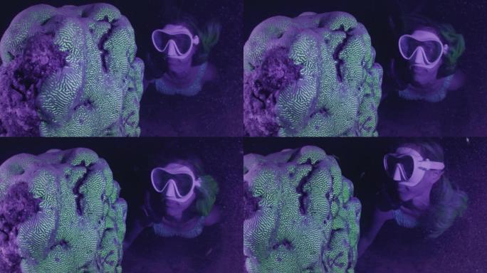 夜间浮潜。女人看着珊瑚礁在紫外线下闪耀着酸绿色。
