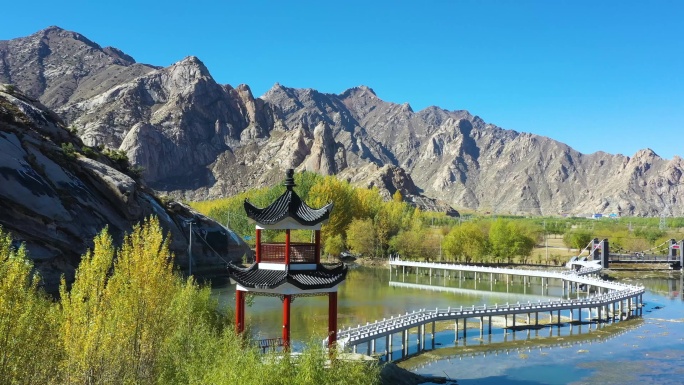 放牧 牛羊 高原农田 秋天 秋景 秋色