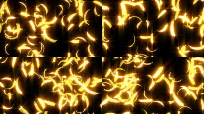 金羽粒子循环动画