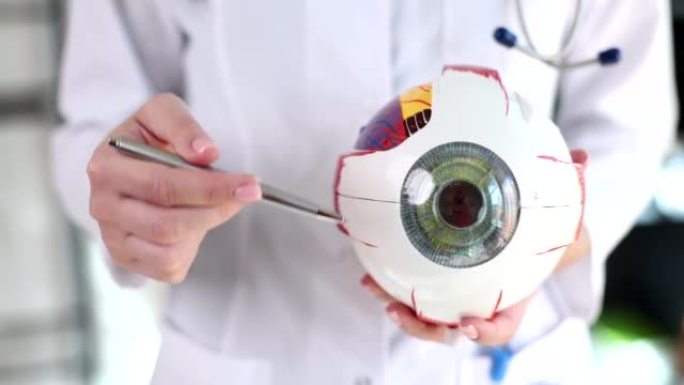 眼科医生在模型特写4k电影慢动作上展示眼睛的解剖结构